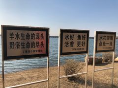 -丁香湖公园