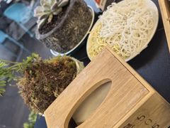 -野菌皇海景野生菌火锅(滨海大道店)