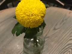 -gaga(深圳南山益田假日广场店)