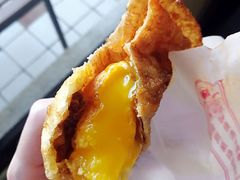 炸蛋葱油饼-炸弹葱油饼 黄车