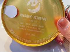 -德禄酸奶(莫家街店)