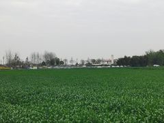 -中国天府农业博览园