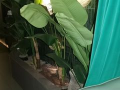 -涟LIAN·泰式按摩·MASSAGE·SPA(华强北店)