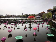 -中国翰园碑林