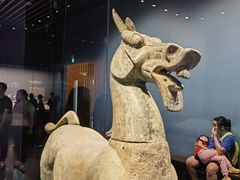 -广西壮族自治区博物馆