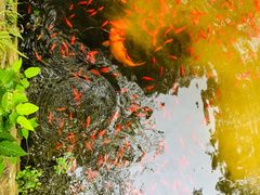 -维也纳国际酒店·江苏苏州火车站北广场店