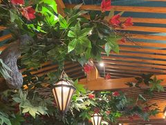 -老广酒楼(樱花店)