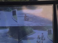 -圣淘沙天际线斜坡滑车