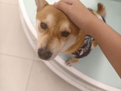 -怪兽屋·羊驼·猫咖·狗咖(俊华广场店)