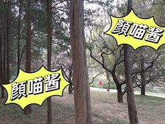 -元大都城垣遗址公园