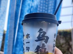 -乌镇东栅景区