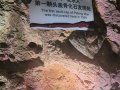 -周口店北京人遗址公园