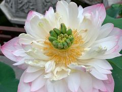 -湘子庙