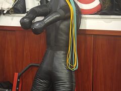 -温鉴良实用咏春拳