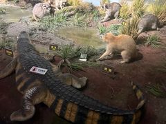 -陕西自然博物馆