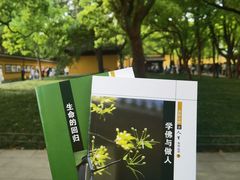 -西园戒幢律寺