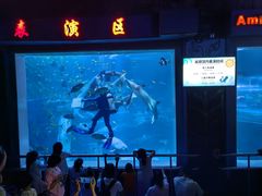 -太平洋海底世界