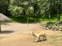 -北京野生动物园