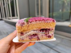 （一只杨梅）益生菌蛋糕-EVERNAKED裸蛋糕(SOHO天山店)