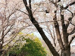 -堤角公园