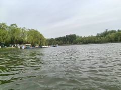 -WhaleSports户外水上运动俱乐部(朝阳公园店)