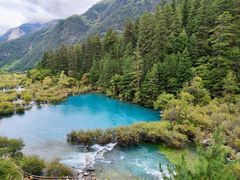 -九寨沟-树正沟