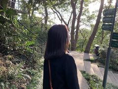 -紫金山山顶公园
