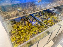 -海天一色海景自助餐厅(西港花园店)