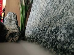 -井格重庆火锅(新世纪店)