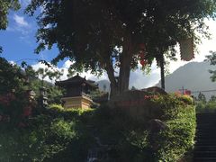 -广东天露山旅游度假区