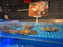 -海底捞火锅(长宁路龙之梦店)