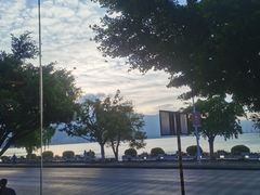 -野菌皇海景野生菌火锅(滨海大道店)