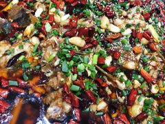-东吴霸王兔(松青路店)