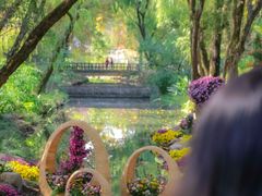 -上海共青森林公园