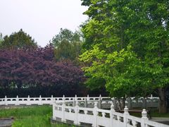-丰台花园