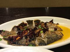 砂锅焗鱼头-温汤大酒店餐厅