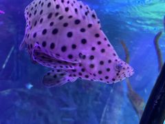 -沈阳海洋探索中心