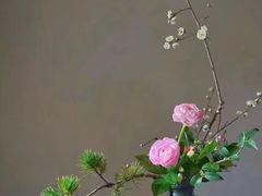 -宋宴(虎跑店)