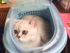 -芭比堂动物医院·犬猫全科·异宠专科(雁塔分院)