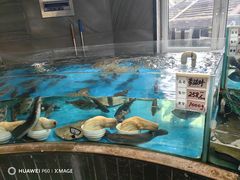 -万盛合(渔人码头店)