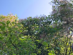 -秦岭终南山世界地质公园翠华山景区