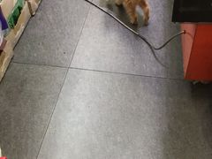 -福瑞记老孙头biangbiang面(新生路店)