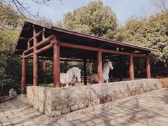 -白马涧龙池景区