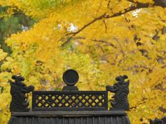 -红螺寺