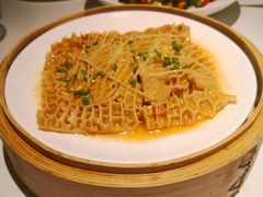 广式金钱肚-鱼乐轩(珠江路店)