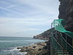 -摩天岭风景区