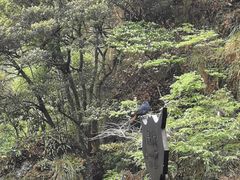 -祁门牯牛降观音堂风景区