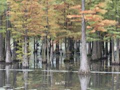 -白鹭湾湿地公园