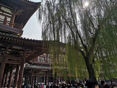 -西安青龙寺遗址景区