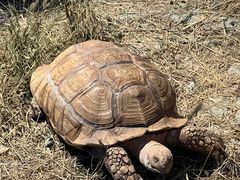 -大连自然博物馆